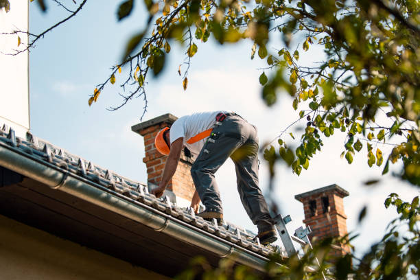Best Roof Maintenance Services  in Valley Falls, RI
